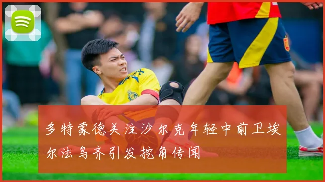 多特蒙德关注沙尔克年轻中前卫埃尔法乌齐引发挖角传闻