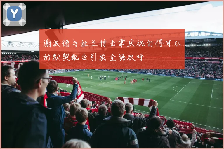 谢泼德与杜兰特击掌庆祝打得可以的默契配合引发全场欢呼